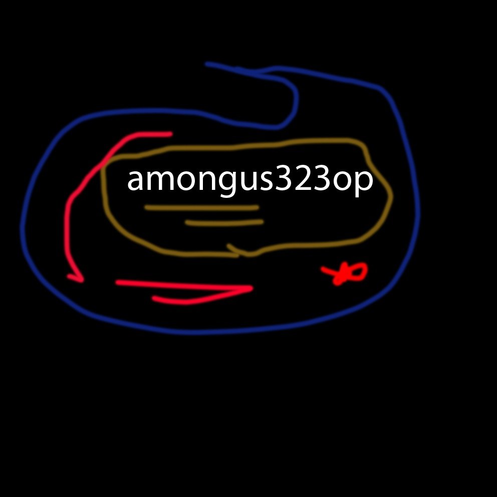 Amongus323op