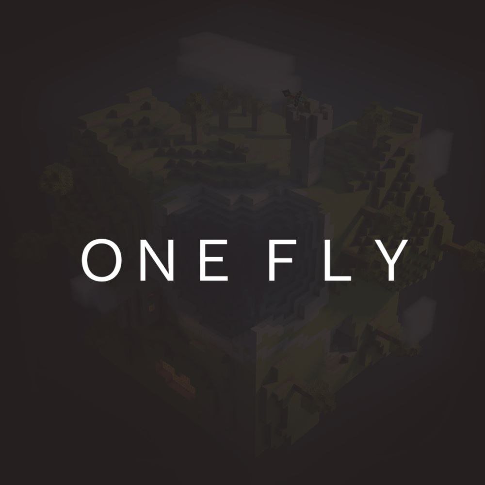 ONEFLY