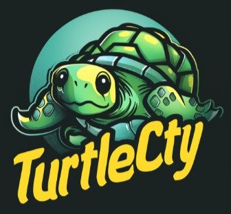 TurtleCity